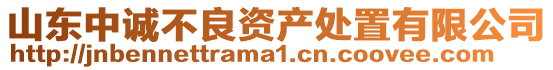 山東中誠(chéng)不良資產(chǎn)處置有限公司