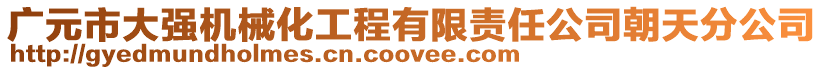 廣元市大強(qiáng)機(jī)械化工程有限責(zé)任公司朝天分公司