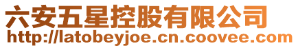 六安五星控股有限公司