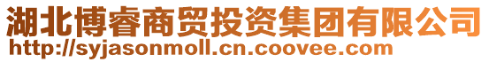 湖北博睿商貿投資集團有限公司