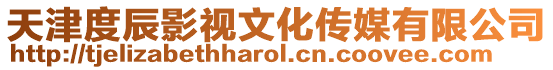 天津度辰影視文化傳媒有限公司