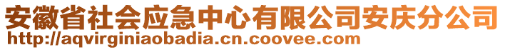 安徽省社會(huì)應(yīng)急中心有限公司安慶分公司