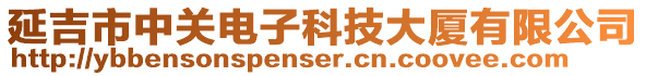 延吉市中關電子科技大廈有限公司