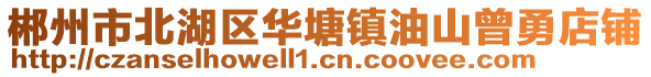 郴州市北湖區(qū)華塘鎮(zhèn)油山曾勇店鋪