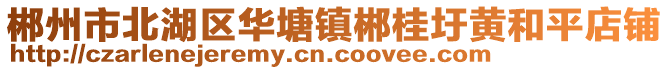 郴州市北湖區(qū)華塘鎮(zhèn)郴桂圩黃和平店鋪