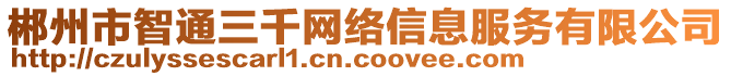 郴州市智通三千網(wǎng)絡(luò)信息服務(wù)有限公司