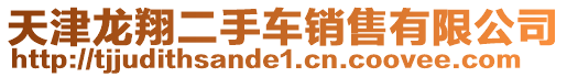 天津龍翔二手車銷售有限公司