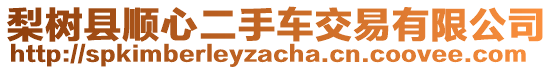 梨樹縣順心二手車交易有限公司