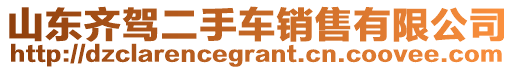 山東齊駕二手車(chē)銷(xiāo)售有限公司