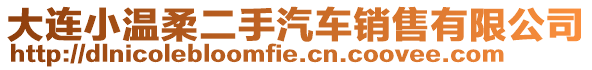 大連小溫柔二手汽車銷售有限公司