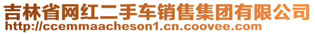 吉林省網(wǎng)紅二手車銷售集團(tuán)有限公司