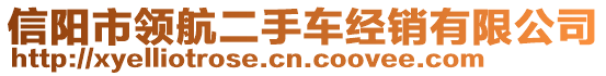信陽市領(lǐng)航二手車經(jīng)銷有限公司