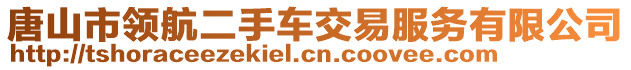 唐山市領航二手車交易服務有限公司