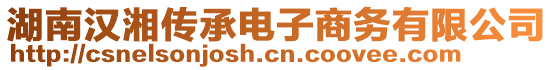 湖南漢湘?zhèn)鞒须娮由虅?wù)有限公司