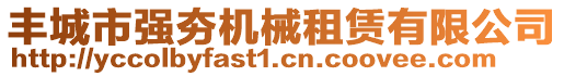 豐城市強(qiáng)夯機(jī)械租賃有限公司