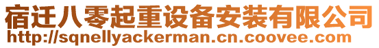 宿遷八零起重設(shè)備安裝有限公司