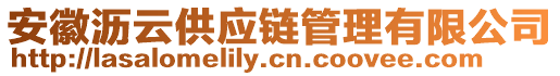 安徽瀝云供應(yīng)鏈管理有限公司