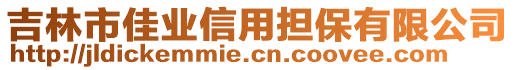 吉林市佳業(yè)信用擔(dān)保有限公司