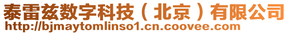 泰雷茲數字科技(北京)有限公司