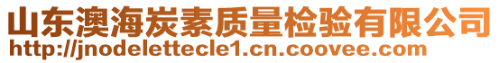 山東澳海炭素質(zhì)量檢驗(yàn)有限公司