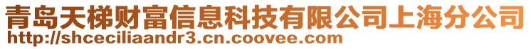 青島天梯財(cái)富信息科技有限公司上海分公司