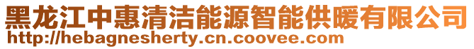 黑龍江中惠清潔能源智能供暖有限公司