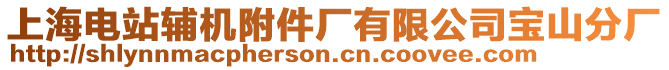 上海電站輔機(jī)附件廠有限公司寶山分廠