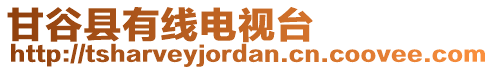 甘谷縣有線電視臺(tái)