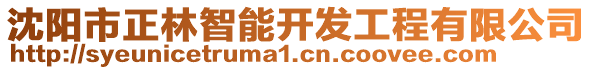 沈陽市正林智能開發(fā)工程有限公司