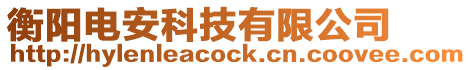 衡陽電安科技有限公司