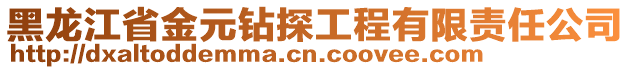 黑龍江省金元鉆探工程有限責(zé)任公司