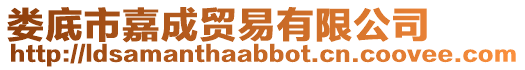 婁底市嘉成貿易有限公司