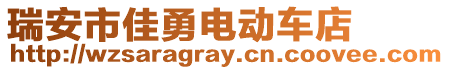 瑞安市佳勇電動車店