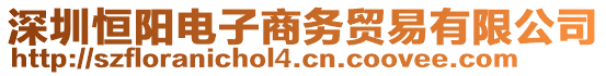 深圳恒陽(yáng)電子商務(wù)貿(mào)易有限公司