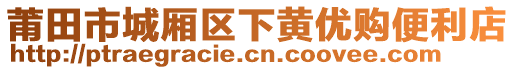 莆田市城廂區(qū)下黃優(yōu)購(gòu)便利店