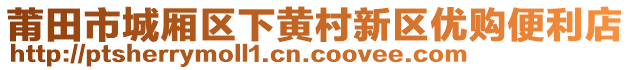 莆田市城廂區(qū)下黃村新區(qū)優(yōu)購(gòu)便利店