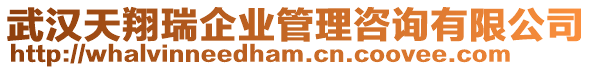 武漢天翔瑞企業管理咨詢有限公司