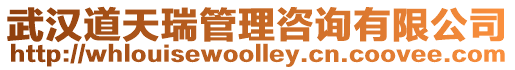 武漢道天瑞管理咨詢有限公司