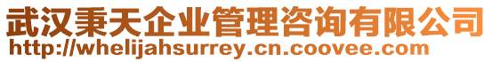 武漢秉天企業管理咨詢有限公司