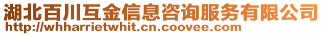 湖北百川互金信息咨詢服務(wù)有限公司