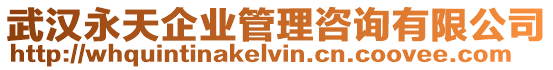 武漢永天企業管理咨詢有限公司