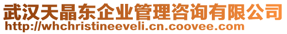 武漢天晶東企業(yè)管理咨詢有限公司