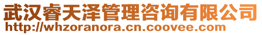 武漢睿天澤管理咨詢有限公司
