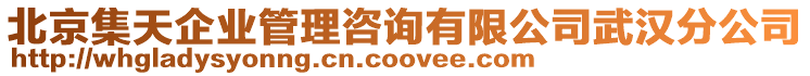北京集天企業管理咨詢有限公司武漢分公司