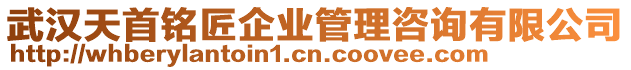 武漢天首銘匠企業管理咨詢有限公司