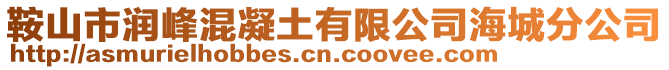 鞍山市潤峰混凝土有限公司海城分公司