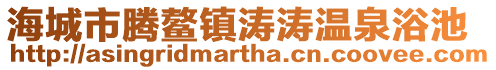 海城市騰鰲鎮(zhèn)濤濤溫泉浴池