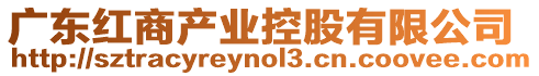 廣東紅商產業控股有限公司