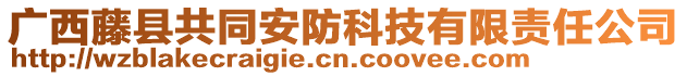 廣西藤縣共同安防科技有限責任公司