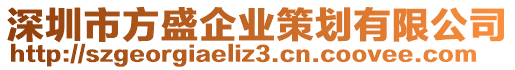 深圳市方盛企業(yè)策劃有限公司